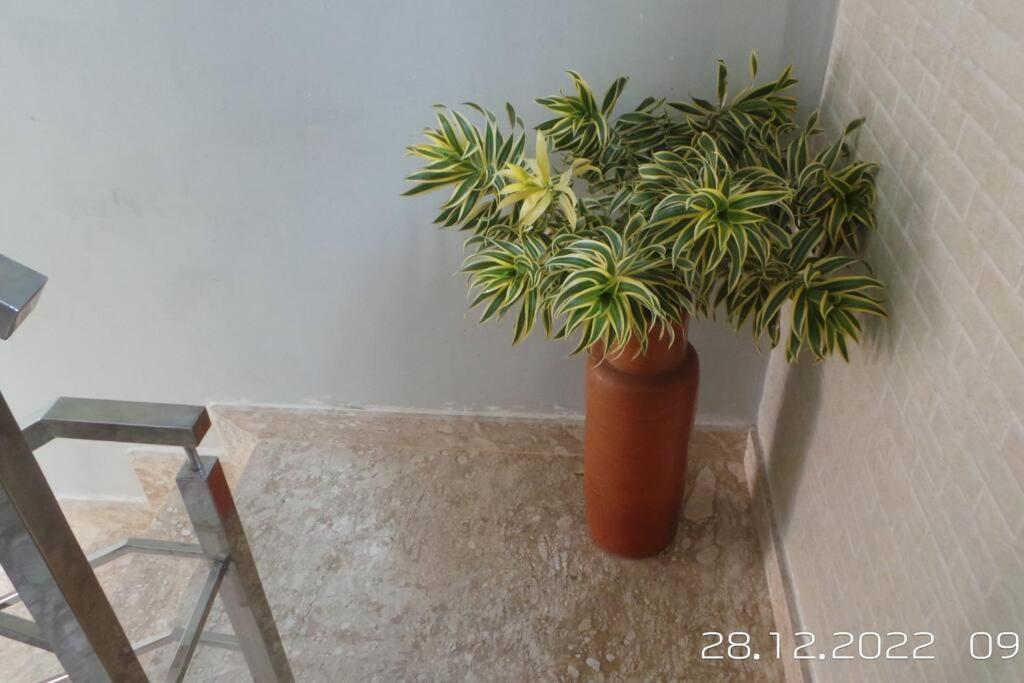 Willa Excelente Casa Com Piscina Camaçari Zewnętrze zdjęcie